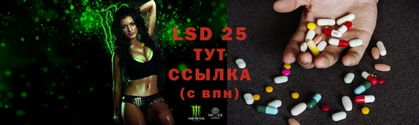 ешки Ельня