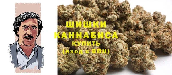 гашик Гусев
