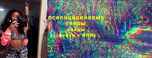 гашик Гусев