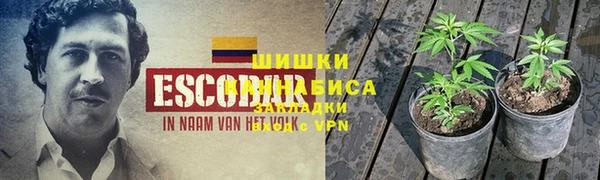 мдпв Мегион