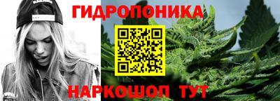 ECSTASY Гусь-Хрустальный