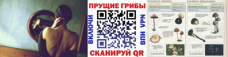 Галлюциногенные грибы GOLDEN TEACHER  Донецк 