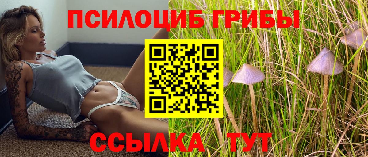 Галлюциногенные грибы Cubensis  Вход с VPN  Донецк  купить наркотики сайты  Псилоцибиновые грибы мицелий 