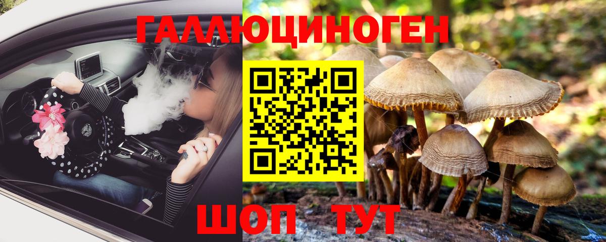 Псилоцибиновые грибы Донецк